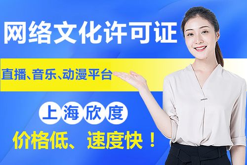 2020年上海網(wǎng)絡(luò)文化經(jīng)營(yíng)許可證申請(qǐng)材料及其他文網(wǎng)文詳情
